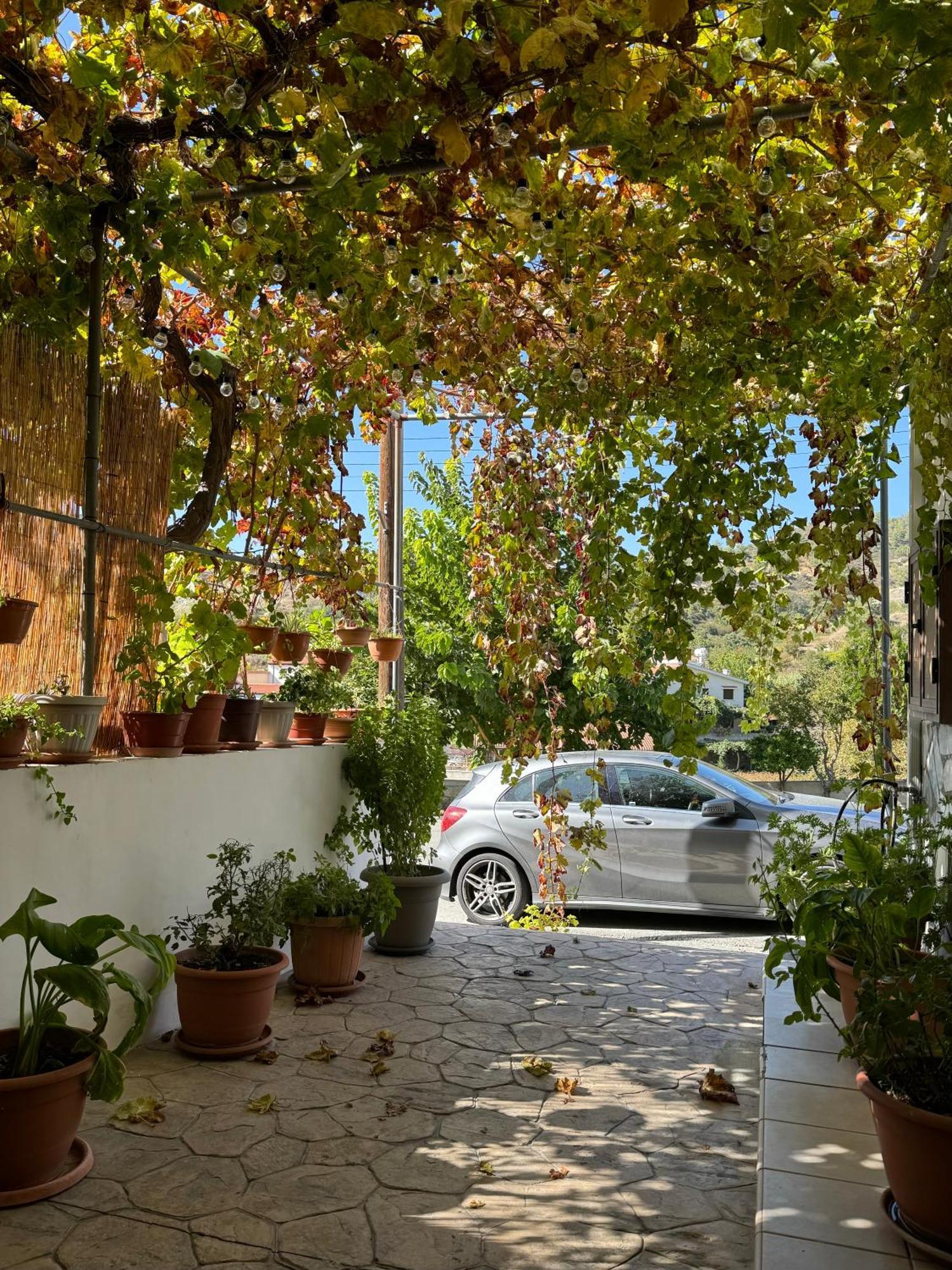 Στου Στεφανή Villa Agros Eksteriør billede